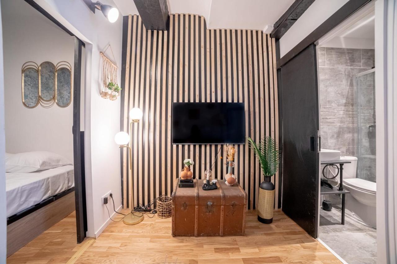 Griffin Furnished Flat Cannes